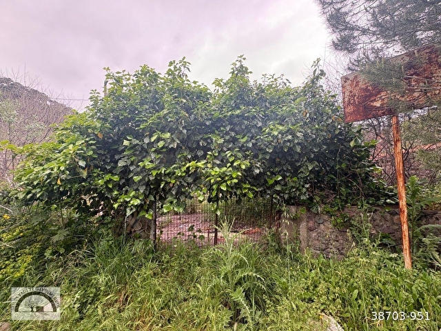 AYVACIK BABADERE KÖYÜNDE SATILIK KÖY EVİ - Görsel 3