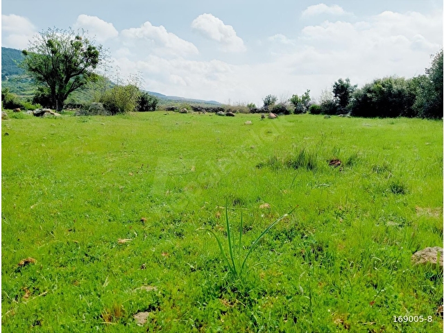 ÇAMOBA MERASINDA 5161 m2 TARLA - Görsel 5