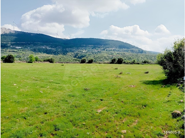 ÇAMOBA MERASINDA 5161 m2 TARLA - Görsel 2