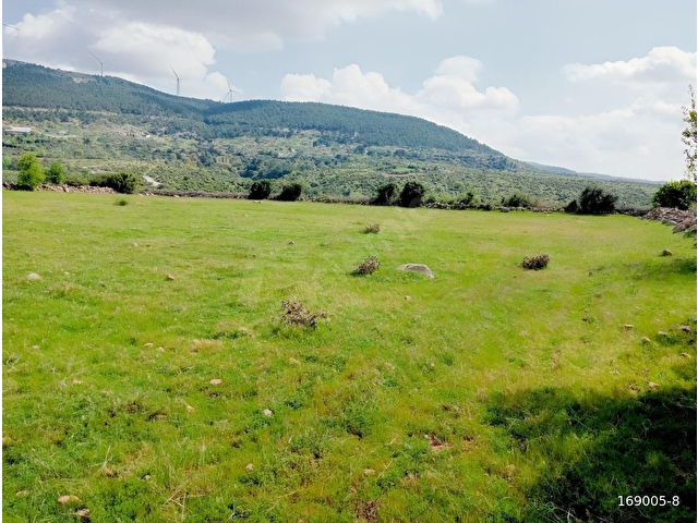 ÇAMOBA MERASINDA 5161 m2 TARLA - Görsel 4