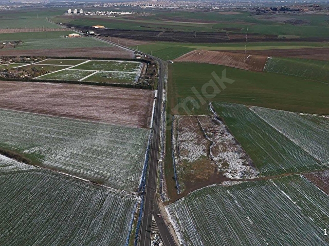 ANAYOL ÜZERİ SATILIK FIRSAT TARLA - Görsel 2
