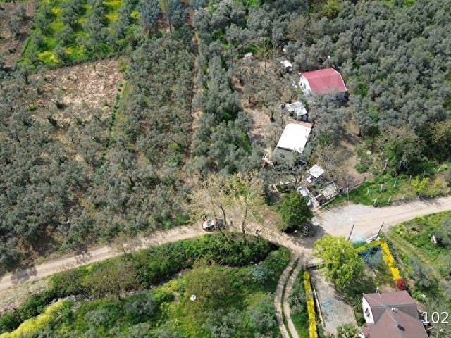 Orhangazi akharem Mahallesi’nde satılık zeytinlik ve hobi bahçesi - Görsel 24