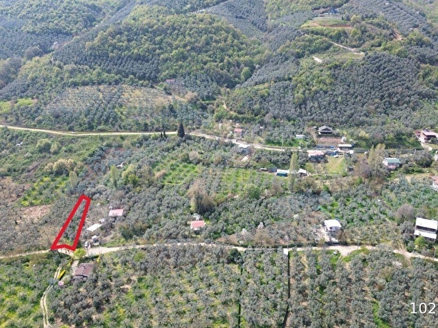 Orhangazi akharem Mahallesi’nde satılık zeytinlik ve hobi bahçesi - Görsel 26