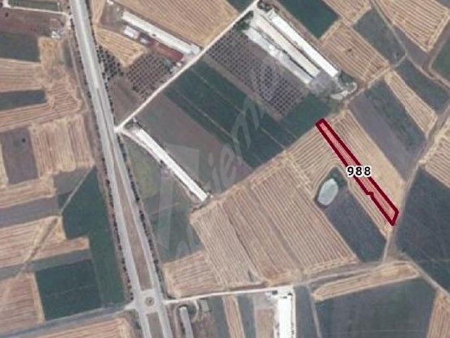 Mevcut yolu bulunan Bandırma-Susurluk karayoluna yakın Kuşcenneti köyü sahibinden tarla