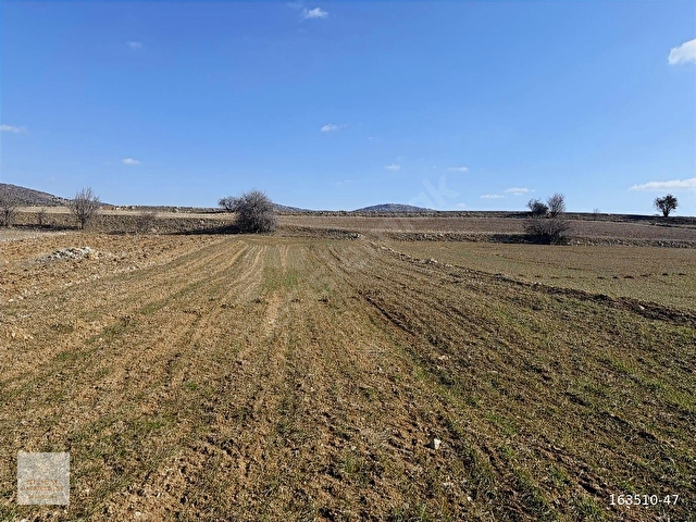 KONYA ÇUMRA ÇİÇEKTE 802M² YOLA CEPHE VERİMLİ TOPRAĞIMIZ SATILIK