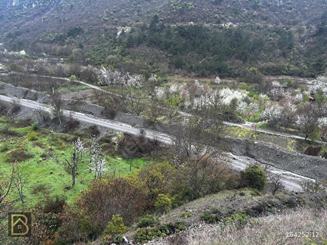 BAREMDEN YEŞİLYENİCEDE SATILIK BAHÇE - Görsel 11