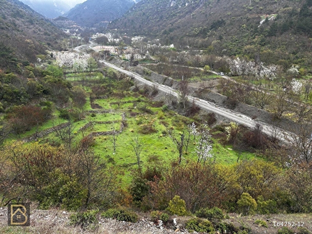 BAREMDEN YEŞİLYENİCEDE SATILIK BAHÇE - Görsel 8