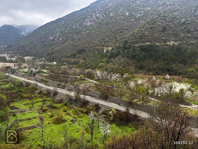 BAREMDEN YEŞİLYENİCEDE SATILIK BAHÇE - Görsel 2