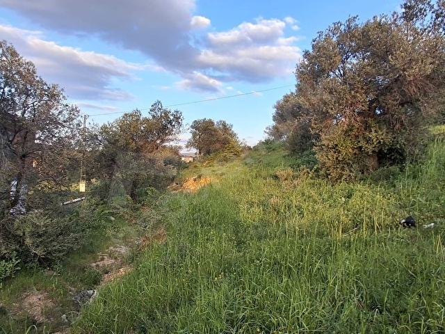 BALIKESİR BURHANİYE PELİTKÖYDE DENİZE 268 M  3 KAT İZİNLİ ARSA - Görsel 10