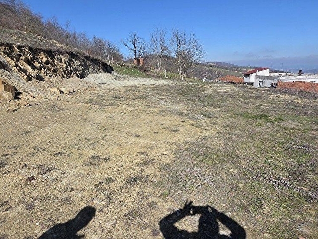 KAVAK KARAASLANDA YERLEŞİM ALANINDA SATILIK TARLA