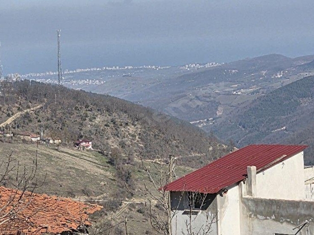 KAVAK KARAASLANDA YERLEŞİM ALANINDA SATILIK TARLA - Görsel 5