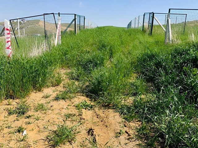 AKYURT KIZIK MÜKEMMEL KONUM ACİL SATILIK 250 M2 KOOPARATİF HİSSE - Görsel 4