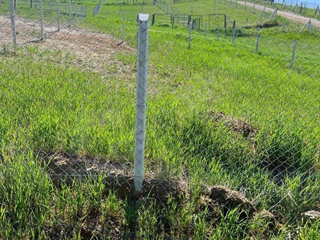 AKYURT KIZIK MÜKEMMEL KONUM ACİL SATILIK 250 M2 KOOPARATİF HİSSE - Görsel 7