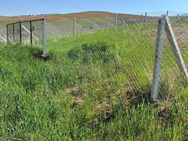 AKYURT KIZIK MÜKEMMEL KONUM ACİL SATILIK 250 M2 KOOPARATİF HİSSE - Görsel 6