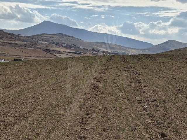 Develi tombak ta Erciyes manzaralı  tarla, hobi bahçesi, Hayvancılık için uygun çevresi mera - Görsel 7