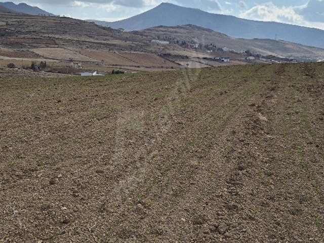 Develi tombak ta Erciyes manzaralı  tarla, hobi bahçesi, Hayvancılık için uygun çevresi mera - Görsel 8