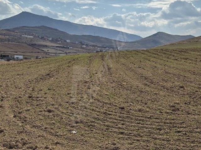 Develi tombak ta Erciyes manzaralı  tarla, hobi bahçesi, Hayvancılık için uygun çevresi mera - Görsel 9