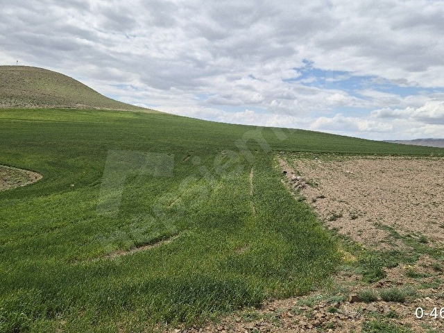 Develi tombak ta Erciyes manzaralı  tarla, hobi bahçesi, Hayvancılık için uygun çevresi mera