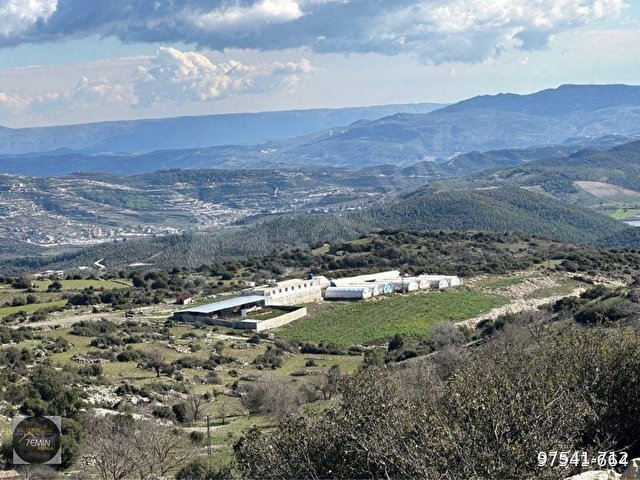 Hatay Yayladagínda Satilik Çiftlik ve Üretim Tesisi