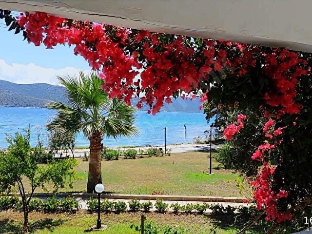BODRUM MİLAS KAZIKLI KOYUNDA DENİZE SIFIR, MÜSTAKİL YAZLIK - Görsel 15