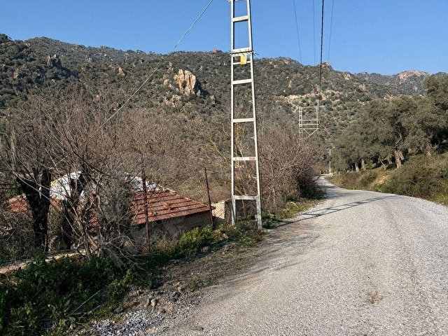 AYDIN SATILIK 21 DÖNÜM HAZIR KURULU ÇİFTLİK VE TARLA YOLKENARI - Görsel 23