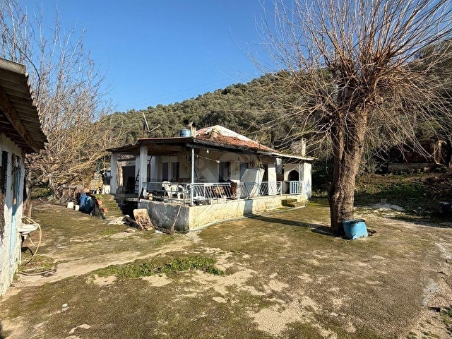 AYDIN SATILIK 21 DÖNÜM HAZIR KURULU ÇİFTLİK VE TARLA YOLKENARI - Görsel 4