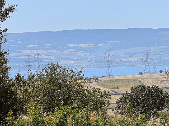 ÇANAKKALE/GELİBOLU/BAYIRKÖYDE SATILIK BAĞ YERİ - Görsel 5