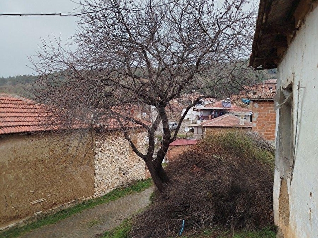 KÖY İÇİ ARSA