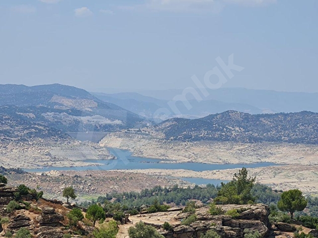 Baraj gölü manzaralı 41263m2  Zeytinli tarla