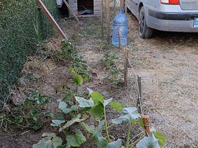 SİLİVRİ DEĞİRMENKÖY DE SATILIK OTURUMA HAZIR KONTEYNİRLİ BAHÇE - Görsel 4