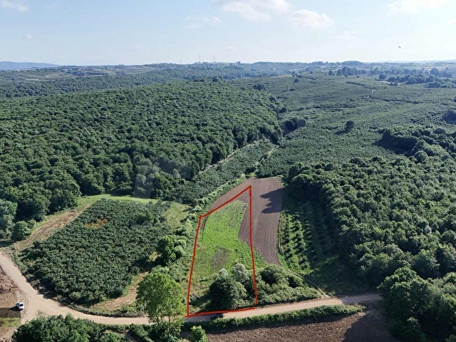 KARASU DUBLE YOLA YAKIN 3.450 M2 YATIRIMLIK ARSA - Görsel 3