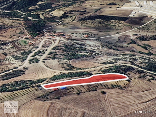 UĞUR ŞAHİNDEN BİLECİK ULUCAKDA SATILIK 6.481M² MEYVE BAHÇESİ - Görsel 7