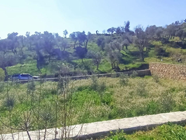 ATA EMKLAKTAN SEFERİHİSAR ORHANLIDA ANA YOLA YAKIN 1789 M2 ARSA - Görsel 17