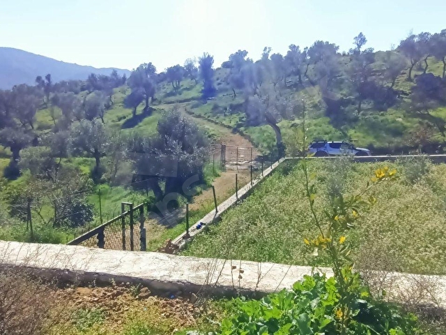 ATA EMKLAKTAN SEFERİHİSAR ORHANLIDA ANA YOLA YAKIN 1789 M2 ARSA - Görsel 18