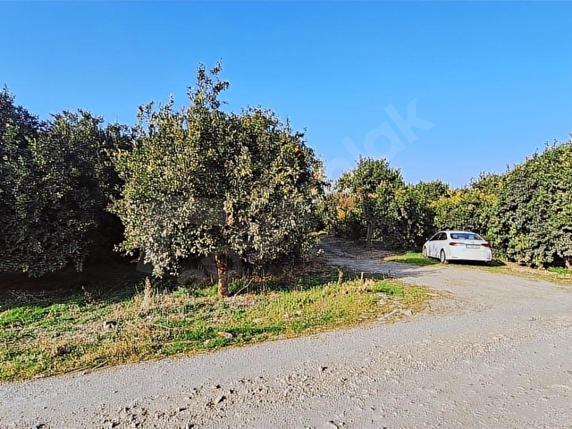 YILDIZ AY GAYRİMENKULDAN E-5 215m MESAFEDE BACASIZ SANAYİ ALANI - Görsel 21