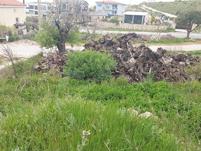 KUŞADASI YAYLAKÖYDE FULL DENİZ MANZARALI İMARLI 485M2 SÜPER ARSA - Görsel 9