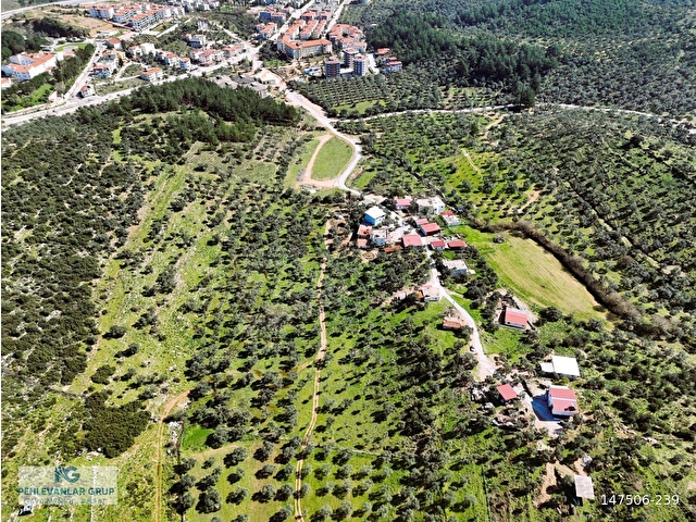Milas Burgaz’da İmara Komşu 8.815 m² Yatırımlık Arazi - Görsel 13