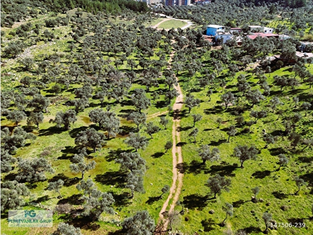 Milas Burgaz’da İmara Komşu 8.815 m² Yatırımlık Arazi - Görsel 27