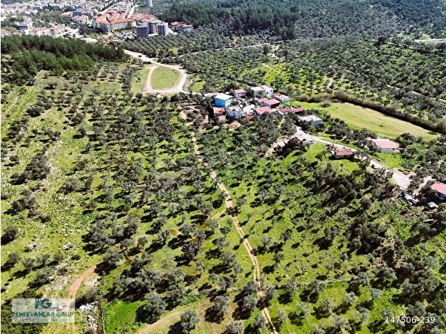 Milas Burgaz’da İmara Komşu 8.815 m² Yatırımlık Arazi - Görsel 9