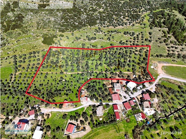 Milas Burgaz’da İmara Komşu 8.815 m² Yatırımlık Arazi