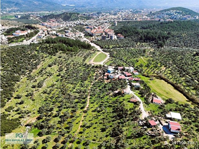 Milas Burgaz’da İmara Komşu 8.815 m² Yatırımlık Arazi - Görsel 11