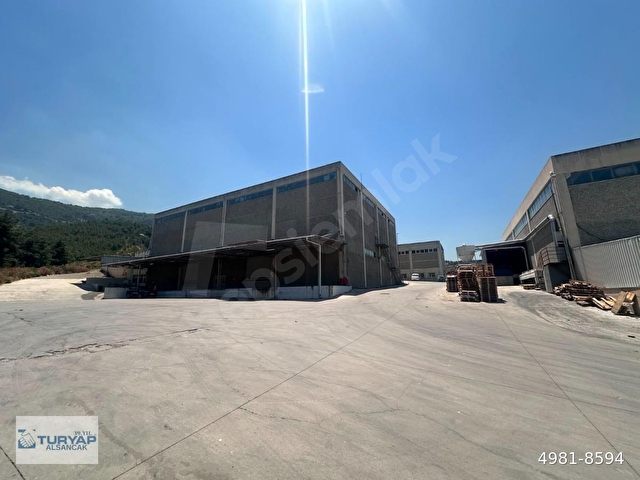 Egemenlik Mahallesinde Kiralık 2400 m2 Depo/İş Yeri