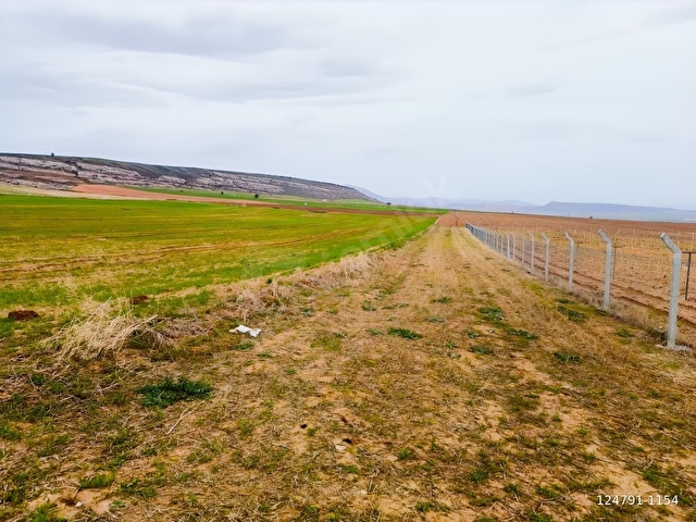 KAYSERİ MELİKGAZİ AĞIRNAS 5.817m2 YOLA SIFIR SULU TARLA YATIRIML