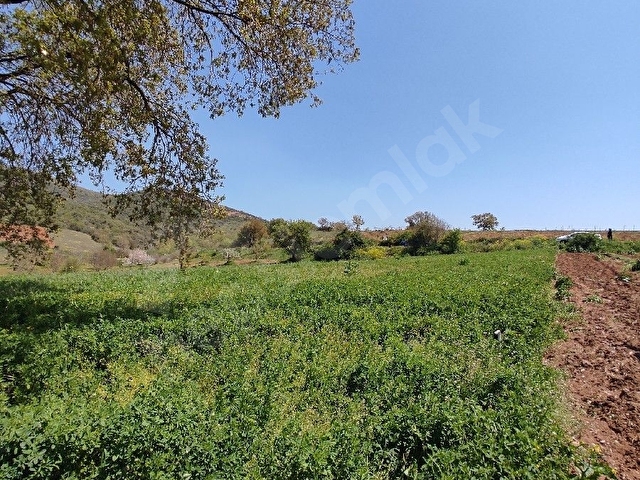 Yenişehir Orhangazi yoluna cephe yatırımlık tarla - Görsel 4