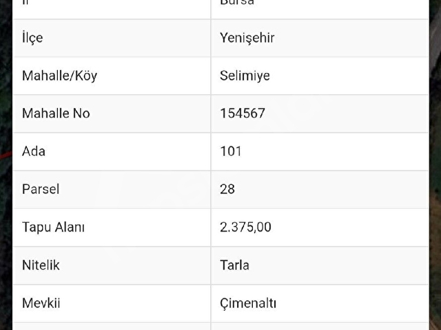 Yenişehir Orhangazi yoluna cephe yatırımlık tarla - Görsel 2