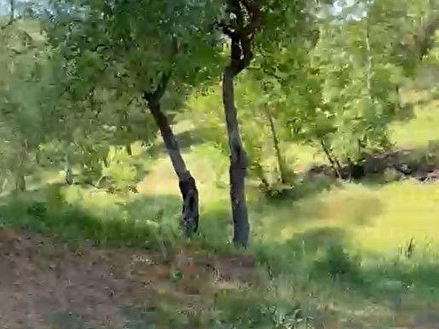ÇANAKKALE BAYRAMİÇ SERHAT KÖYÜ 526 m2 % 80 İMARLI ARSA - Görsel 14