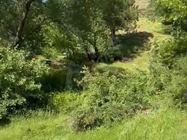 ÇANAKKALE BAYRAMİÇ SERHAT KÖYÜ 526 m2 % 80 İMARLI ARSA - Görsel 8