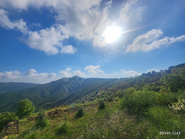 ALANYA ÇAMLICA KÖYÜ SATILIK 2400 M2 MÜSTAKİL TAPULU TARLA - Görsel 13
