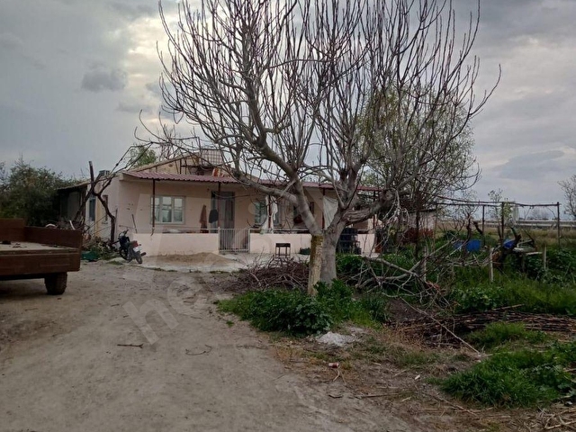 YILMAZ MAHALLESİNDE SATILIK ÇİFTLİK VE EVİ - Görsel 9