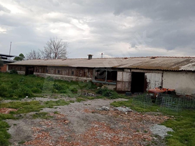YILMAZ MAHALLESİNDE SATILIK ÇİFTLİK VE EVİ - Görsel 19
